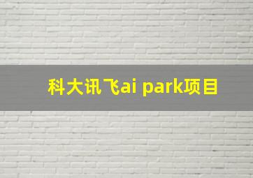 科大讯飞ai park项目